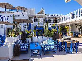 主机试玩版公开 《护林猿神》正式版12月11日登陆全平台